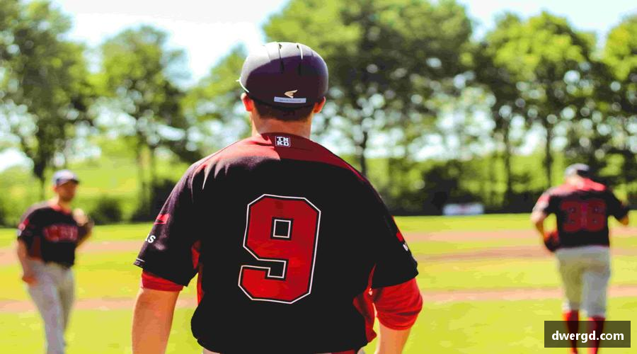 🎁🌟 限量周边，收藏你的热爱！