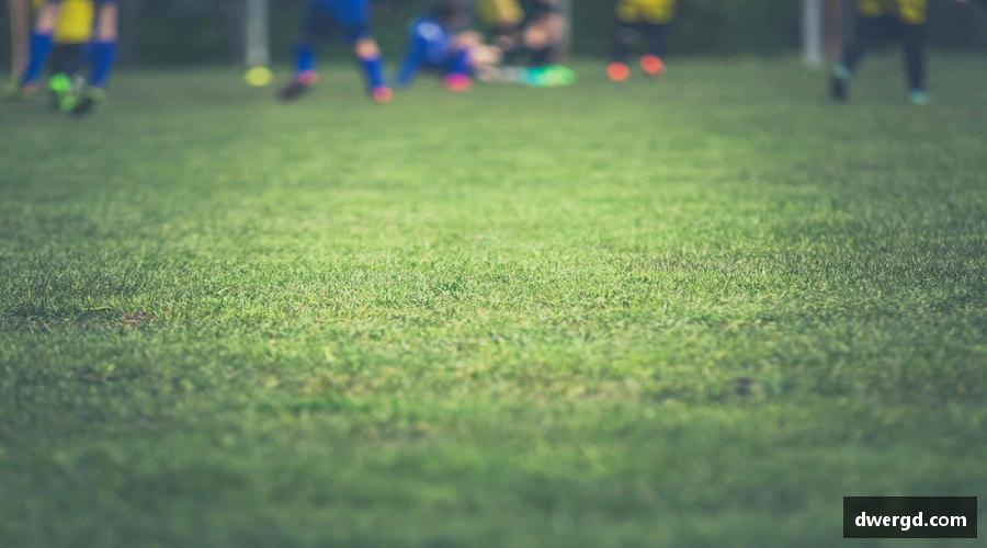 🏅专业赛事，成就你的冠军梦想！